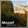 Divertimento In F Major, K.247 - Ochestral Version: 6. Andante