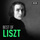 Liebestraum No. 3 in A-Flat Major, S. 541 - Poco allegro, con affetto