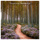 The Nutcracker, Op.71, TH.14 / Act 2: No. 13 Waltz of the Flowers