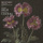 Violin Sonata in E Minor, K. 304: Mozart: Violin Sonata in E Minor, K. 304 - I. Allegro
