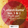 Liebesträume, S. 541 (Excerpts): No. 1 in A-Flat Major, Hohe Liebe