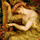 J.S. Bach BWV1004 Chaconne, plays Cangokce