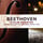 Sonata No. 1, Op. 12, No. 1 in D Major: I. Allegro con brio