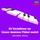 10 Variations on "Unser dummer Pöbel meint" by Gluck, K. 455: Theme. Allegretto