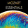 Serenade in B-Flat Major, K. 361 "Gran Partita": Var. VI: Allegro