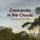 Orchestral Suite No. 2 in B Minor, BWV 1067: VI. Menuet