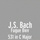 Fugue Bwv 531 in C Major