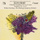 Symphony No. 3 in D Major, D. 200: II. Allegretto