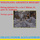 String Quintet No. 2 in C Minor, K. 406: II. Andante