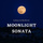 Beethoven: Sonata No. 14, 'Moonlight' 1st Movement