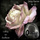 String Quartet No. 16 in F major, Op.135 - I. Allegretto - Ludwig van Beethoven - 8D Binaural Remastered - Music Therapy