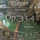 Chopin: Mazurkas, Op. 33: No. 4 in B Minor (Live)