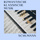 Widmung, Op. 25 No. 1 (Arr. Franz Liszt)