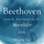 Sonata No. 14 in C#minor, Op. 27-2 Moonlight - Adagio Sostenuto