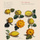 Divertimento in C Major, K. Anh. 229 No. 1 (Version for 3 Basset Horns): I. Allegro