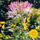 Symphony No. 8 in C Minor, Op. 65: III. Allegro non troppo