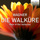 Die Walküre, WWV 86B