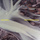 Seabird - Tensnake Remix Edit