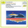 Symphony No.0 in D minor: 1. Allegro