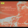 Cello Concerto in B minor, Op.104: 1. Allegro