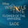 Flower of the Universe - From Disney's "A Wrinkle in Time"