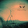Native Echoes
