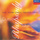 Hungarian Rhapsody No.2 in D minor, S.359 No.2 (Corresponds with piano version no. 2 in C sharp minor)
