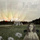 Blind Meadow