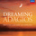 Concierto de Aranjuez for Guitar and Orchestra: 2. Adagio (excerpt)