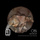 The Point - Deep Dimension Remix