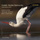 Concerto for Strings in G Minor, RV 156: I. Allegro (Live)