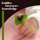 String Quartet No. 7 in F Major, Op. 59 No. 1: II. Allegretto vivace e sempre scherzando