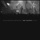 The Silence - Live at The Regency Ballroom San Francisco