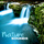 Nature Sounds for Relaxation