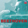 Sonata for Violin and Piano No.1 in D, Op.12 No.1: 1. Allegro con brio