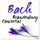 Brandenburg Concerto, No.1, BWV1046 "in F major": I. Allegro