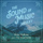 The Sound of Music Medley (Feat. The Shaytards)