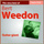Guitar Boogie Shuffle