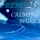 Ocean Waves for Relaxation and Restful Sleep