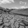 Dry