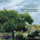 Flute Sonata in B Minor, BWV 1030: I. Andante