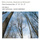 Piano Concerto No. 21 in C Major K.467: 1. Allegro maestoso