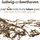 Violin Sonata No. 2 in A Major, Op. 12 No. 2: I. Allegro vivace