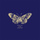 Silent Song