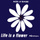 Life Is A Flower (the Remixes)