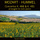 Piano Concerto No. 20 in D Minor, K. 466: I. Allegro - Arranged for Solo Piano by Hummel