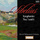 Symphony No. 1 in E Minor, Op. 39: I. Andante, ma non troppo - Allegro energico