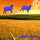 Blue Sheep