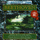 Symphony No. 5 In C Minor, Op. 67 - 1st Movement: Allegro Con Brio