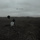 The Search